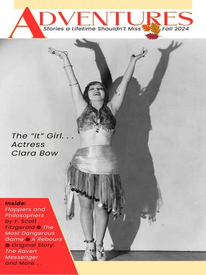 cover image of Adventures, #13